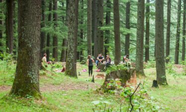 Pluga fairy forest Trek -Backpackers Kasol