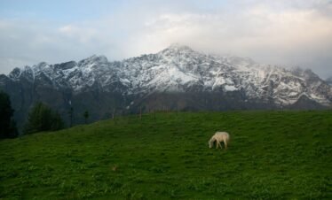 Bunbuni trek Kasol-Adventure Yug