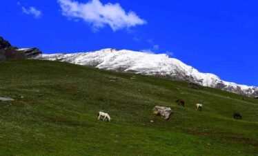 Patalsu Peak trek – Adventure Yug